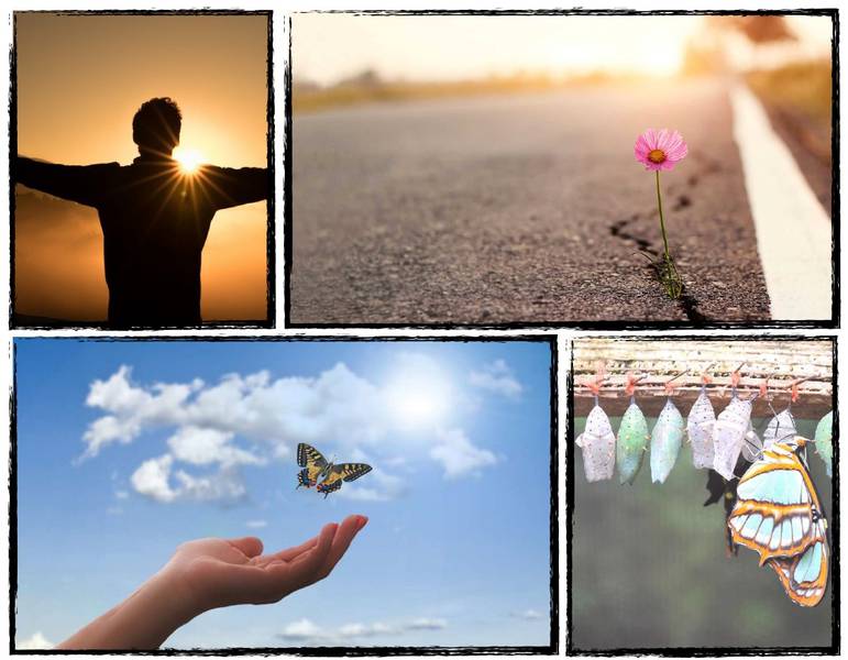 C:\fakepath\25 giugno.jpg