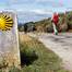 C:\fakepath\Cammino-di-Santiago-dritte_APERTURA.jpg