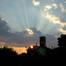 C:\fakepath\DSC_0377.jpg