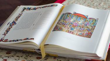 C:\fakepath\DSC_9790 - Copia.jpg