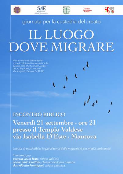 Il luogo dove migrare.jpg
