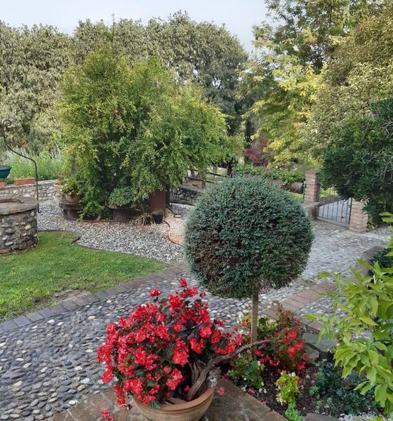 C:\fakepath\WhatsApp Image 2022-10-25 at 18.07.04.jpeg