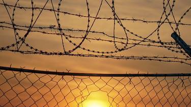 C:\fakepath\ali-saadat-filo spinato-unsplash.jpg