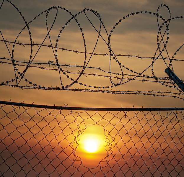 C:\fakepath\ali-saadat-filo spinato-unsplash.jpg