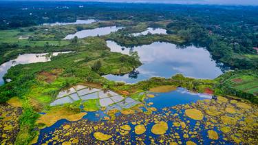 C:\fakepath\ambiente creato natura.jpg