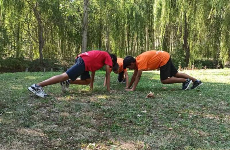 C:\fakepath\arte nella natura.jpg