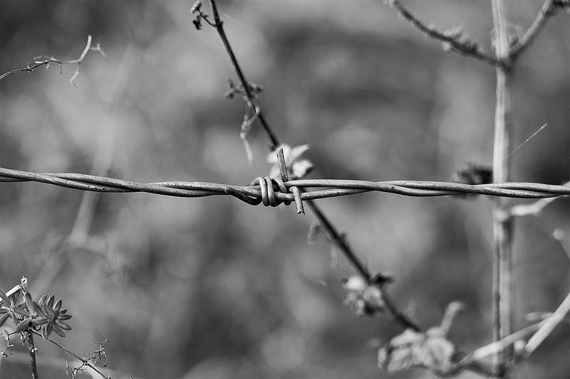 barbed-wire-2926916_960_720.jpg