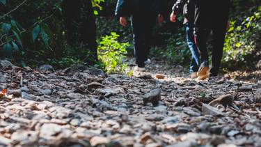 C:\fakepath\cammino pellegrinaggio.jpg