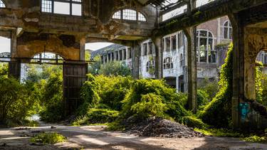 C:\fakepath\cedric-dhaenens-palazzo abbandonato-unsplash.jpg