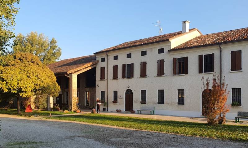 C:\fakepath\comunità noah 2.jpg