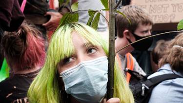 C:\fakepath\corso ecologia integrale.jpg