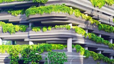 C:\fakepath\danist-soh-eidlizia green-unsplash.jpg