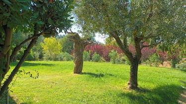 C:\fakepath\eremo della ghisiola giardino.jpg