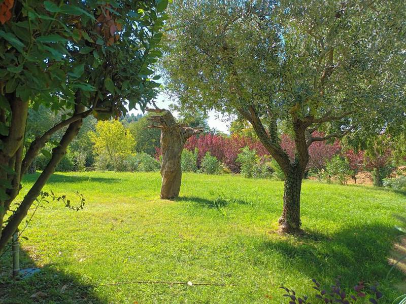 C:\fakepath\eremo della ghisiola giardino.jpg