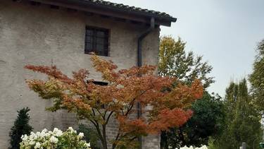 C:\fakepath\eremo ghisiola 2.jpeg