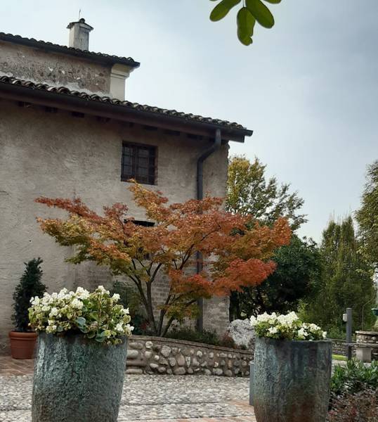 C:\fakepath\eremo ghisiola 2.jpeg