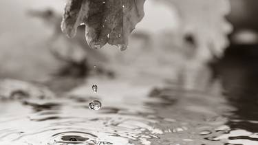 C:\fakepath\lacrime grazia.jpg