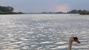 C:\fakepath\lago cigno.jpg