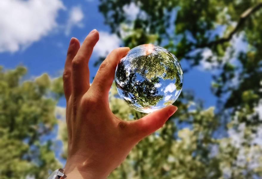 C:\fakepath\margot-richard-natura-unsplash - Copia.jpg