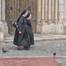 C:\fakepath\nuns-2435577_960_720.jpg