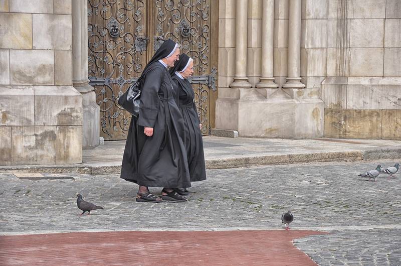 C:\fakepath\nuns-2435577_960_720.jpg