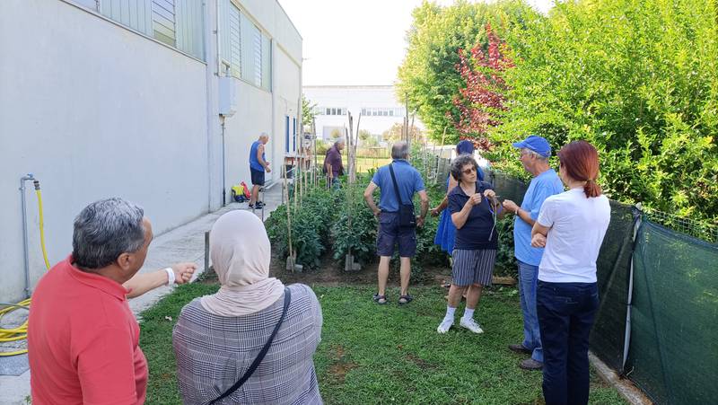 C:\fakepath\orto solidale Quistello.jpg