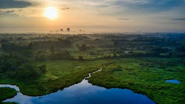 C:\fakepath\paesaggio Tom Fisk.jpg