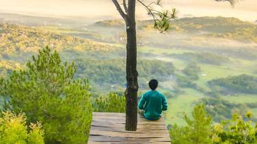 C:\fakepath\pexels-samuel-theo-manat-silitonga-persona natura - Copia.jpg