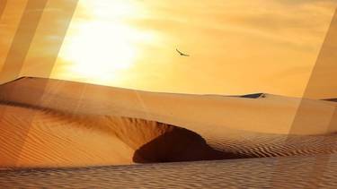 C:\fakepath\pgv terra santa img.jpeg