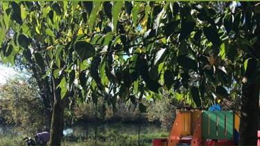 C:\fakepath\pozzolo parco.jpg