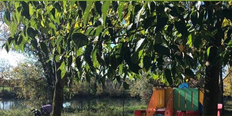 C:\fakepath\pozzolo parco.jpg