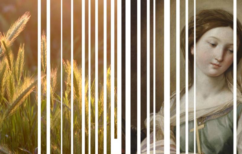 C:\fakepath\s. margherita.jpg