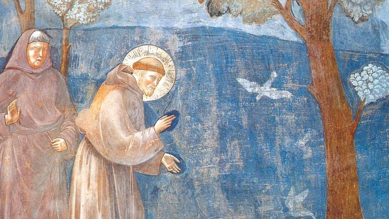 C:\fakepath\san Francesco Giotto.jpg