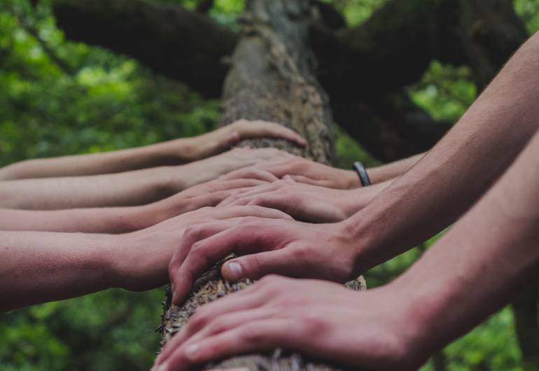 shane_rounce_mani albero_unsplash _ Copia.jpg