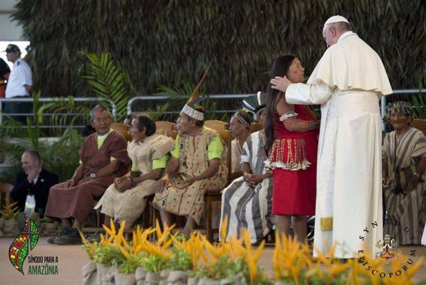 C:\fakepath\sinodo amazzonia papa.jpg