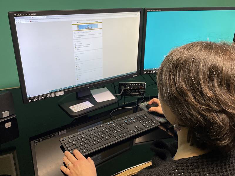 C:\fakepath\sito questionario.jpg