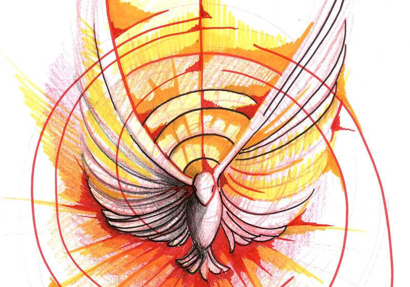 C:\fakepath\spirito santo colomba.jpg