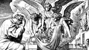 C:\fakepath\stampa - Copia.jpg