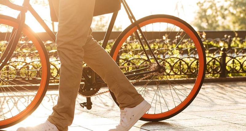 C:\fakepath\tempo del creato.jpg