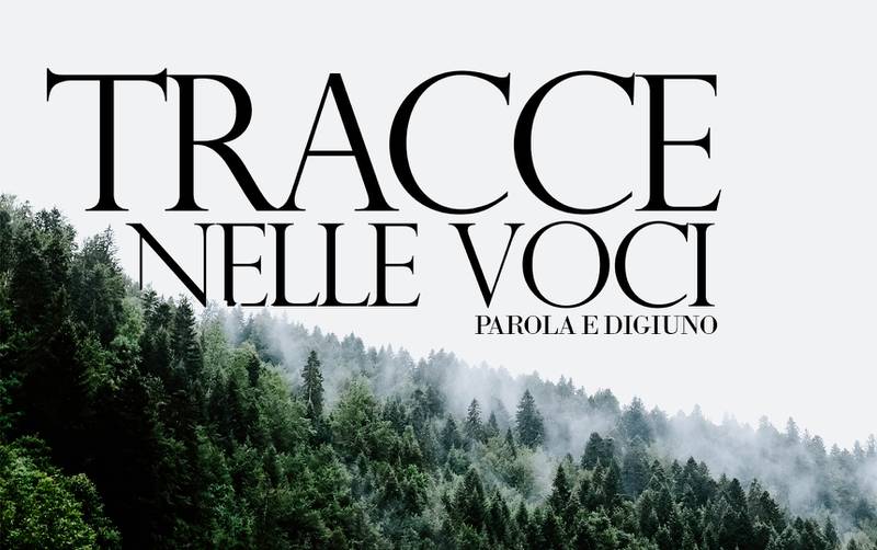 C:\fakepath\tracce nelle voci 24.jpg