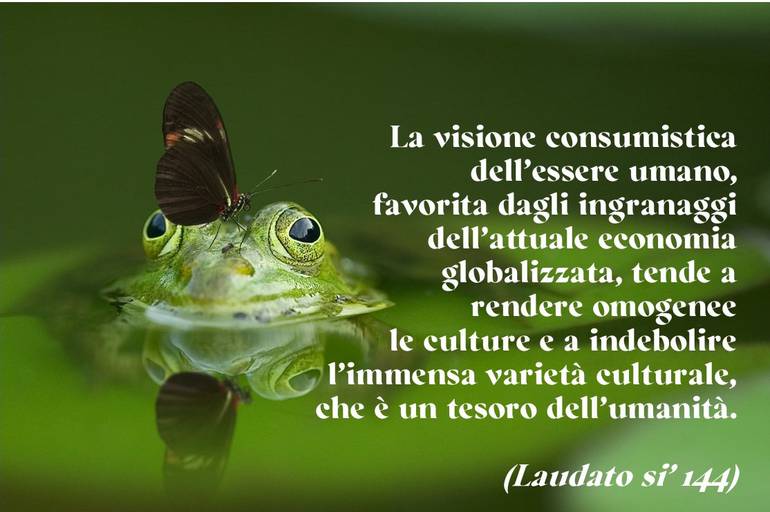 tweet laudato 144bis.jpg