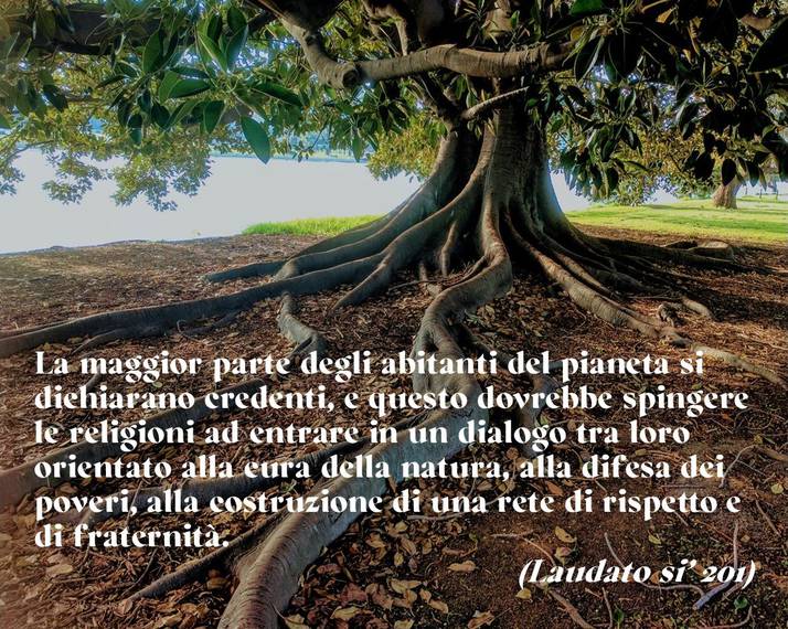 tweet laudato 201.jpg