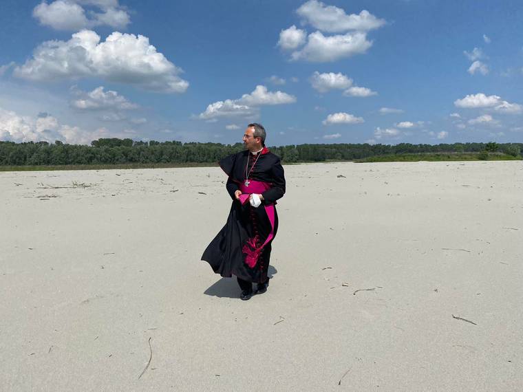 C:\fakepath\vescovo sul po.jpg