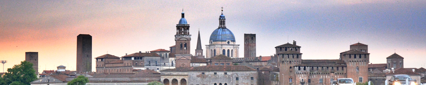 Diocesi di Mantova